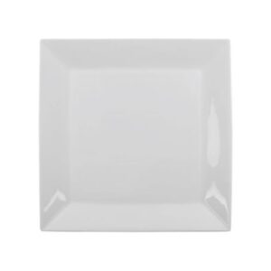 PLATE-Square-31X31 CM-Panorama